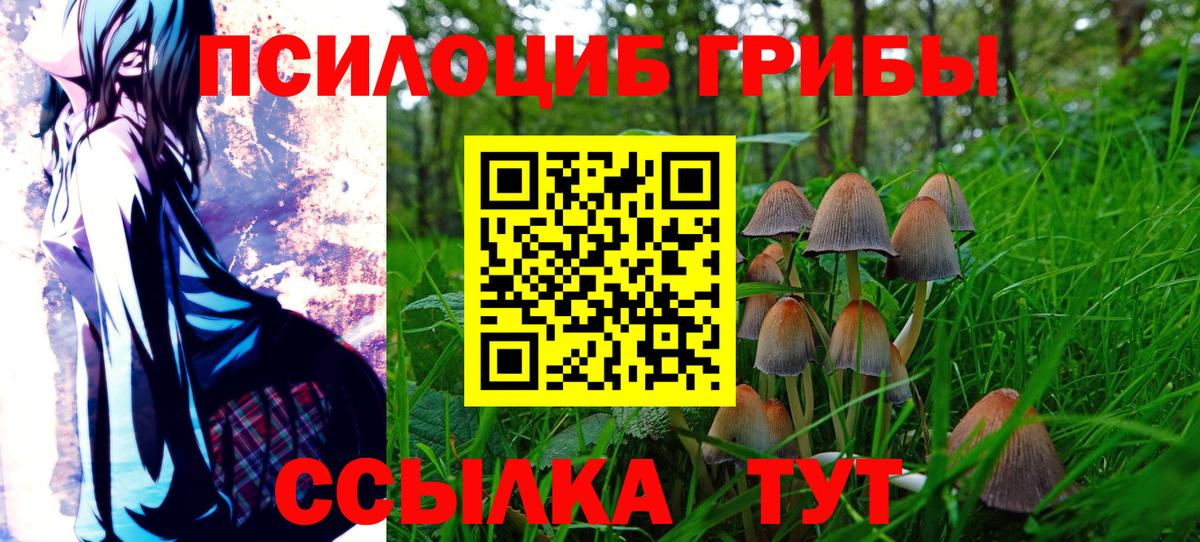 Асино  сколько стоит  Вход с VPN  Галлюциногенные грибы GOLDEN TEACHER 